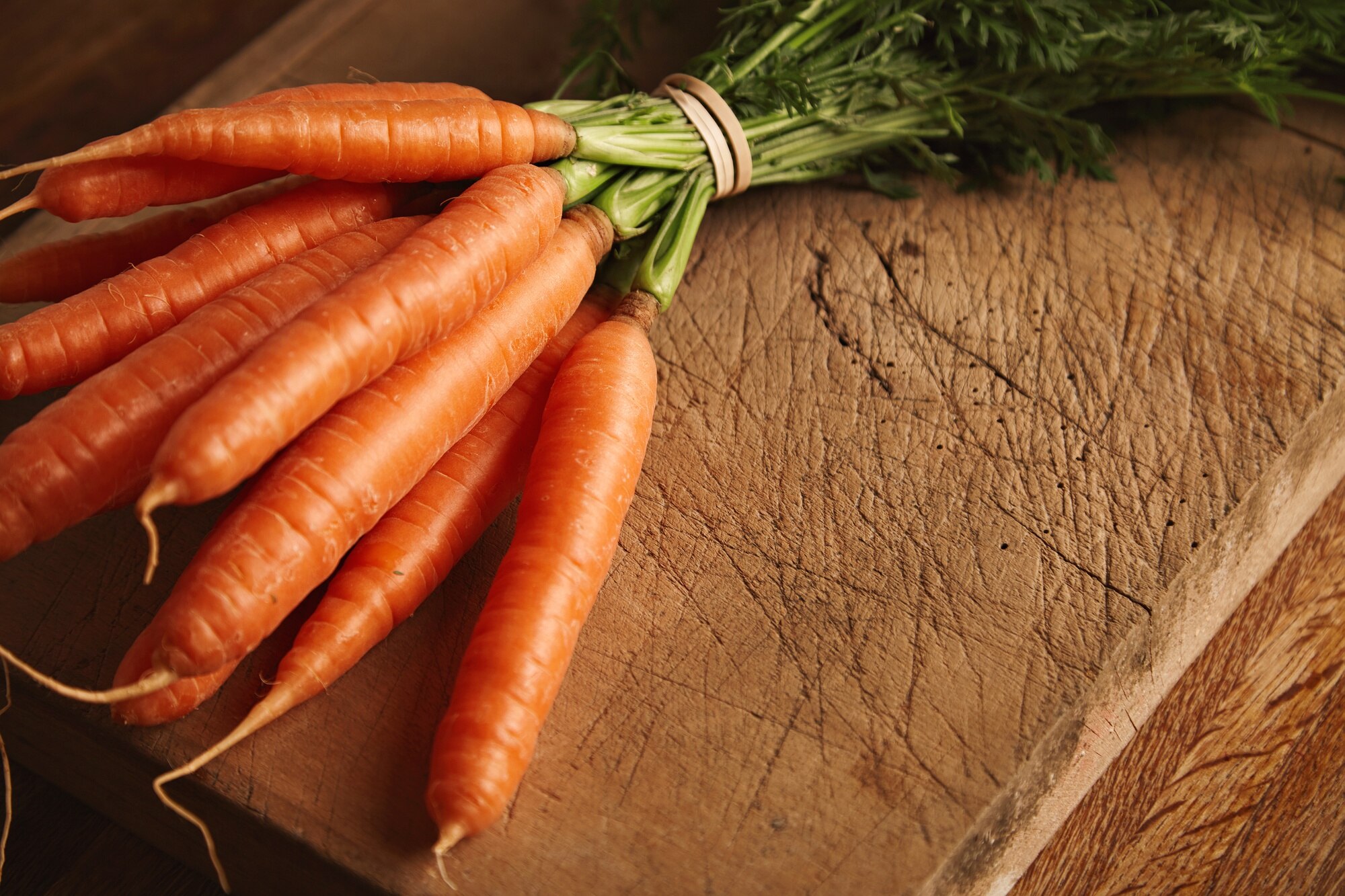Zanahorias